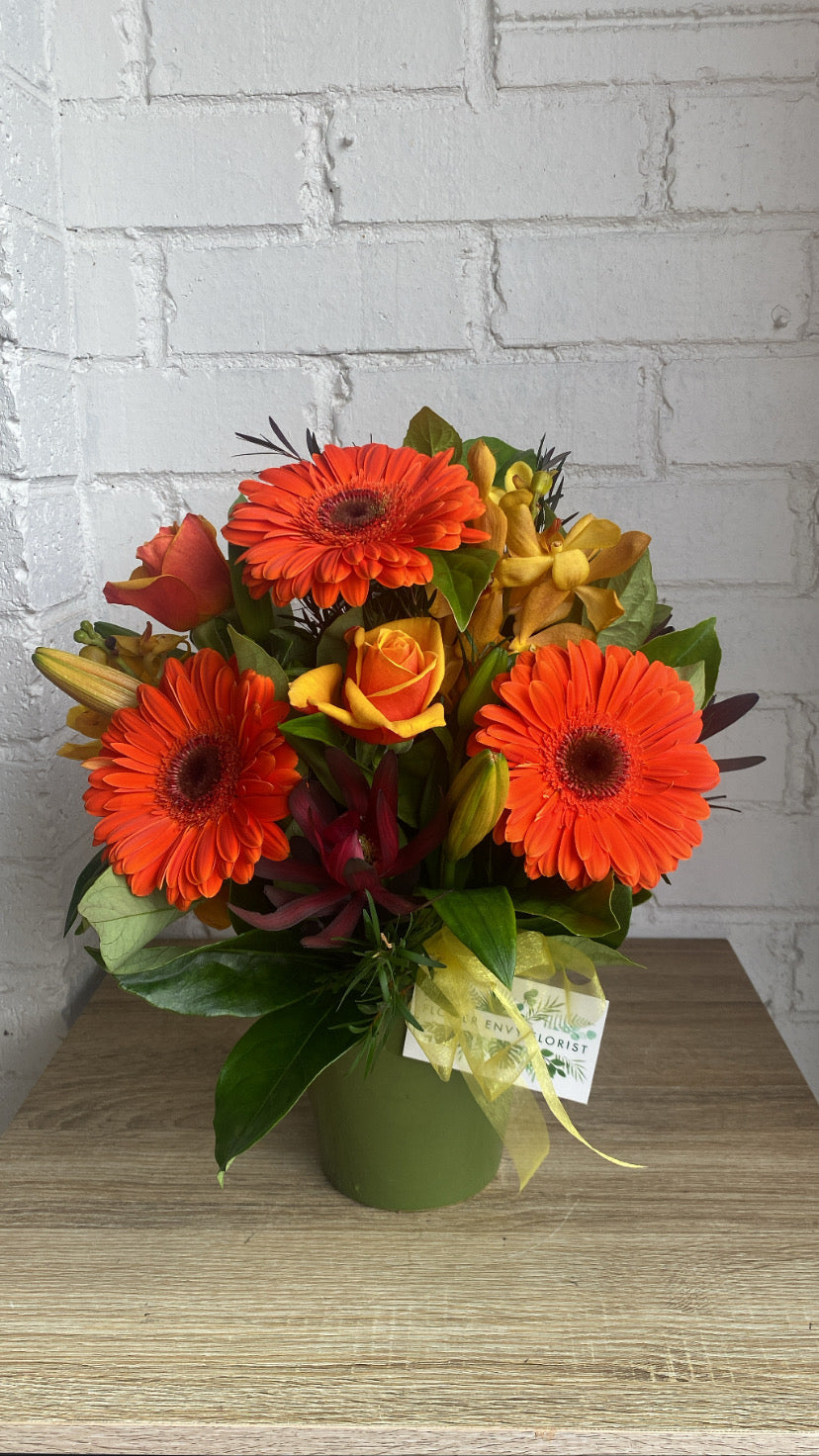 Bright Posy Arrangement Langwarrin Florist